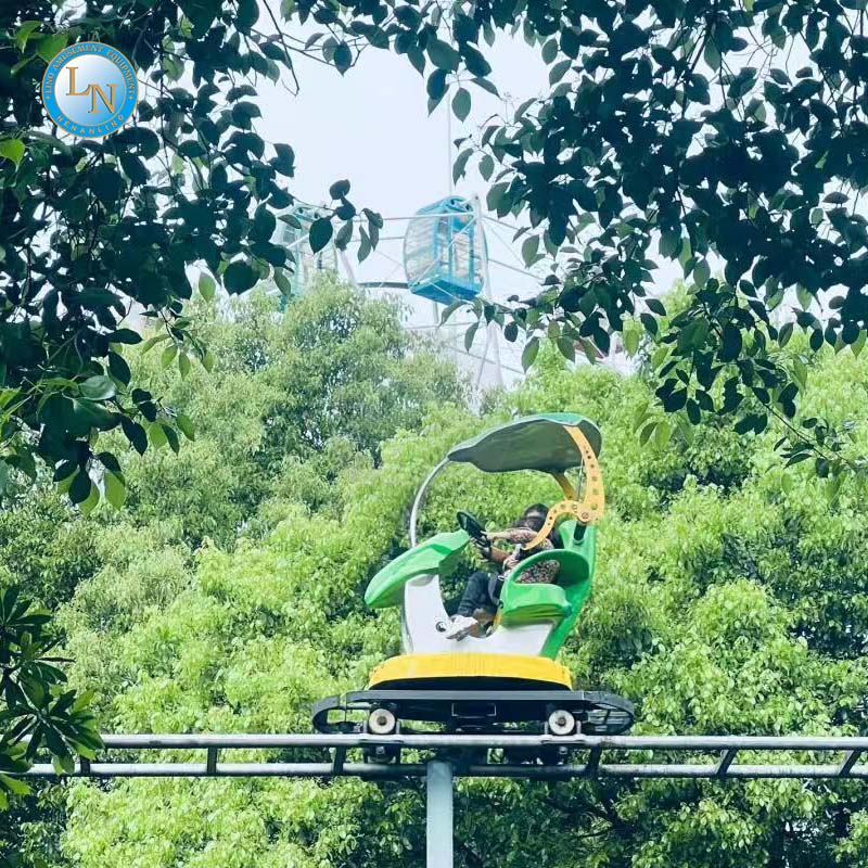 Manufacturer Designed Double Track Roller Coaster Slide for Children Sports & Entertainment Park Project on Sale