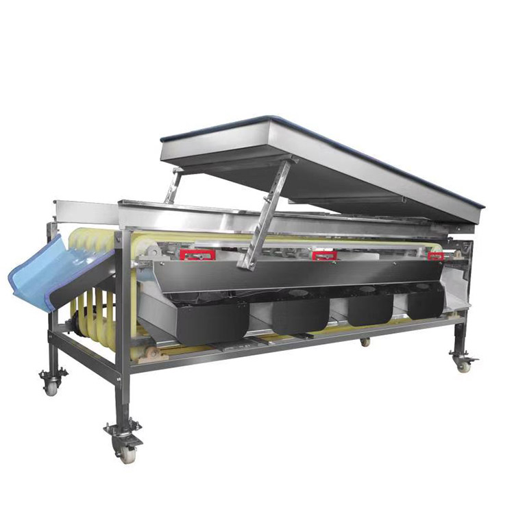 Date Palm Sorting Machine/fruit Sorting Conveyor