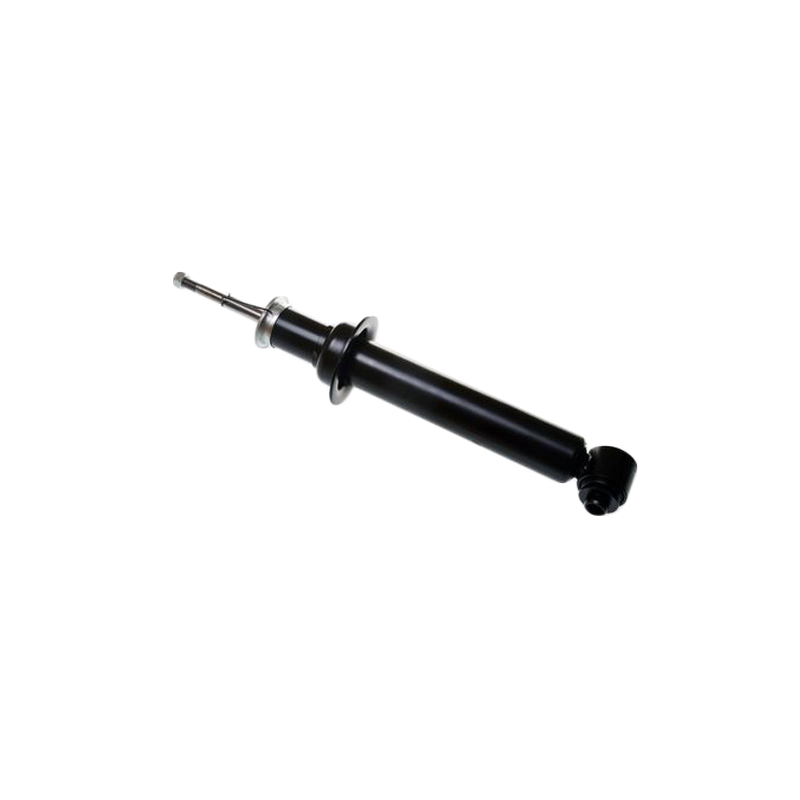 E46 E60 E66 Rear Shock Absorber For Bmw 