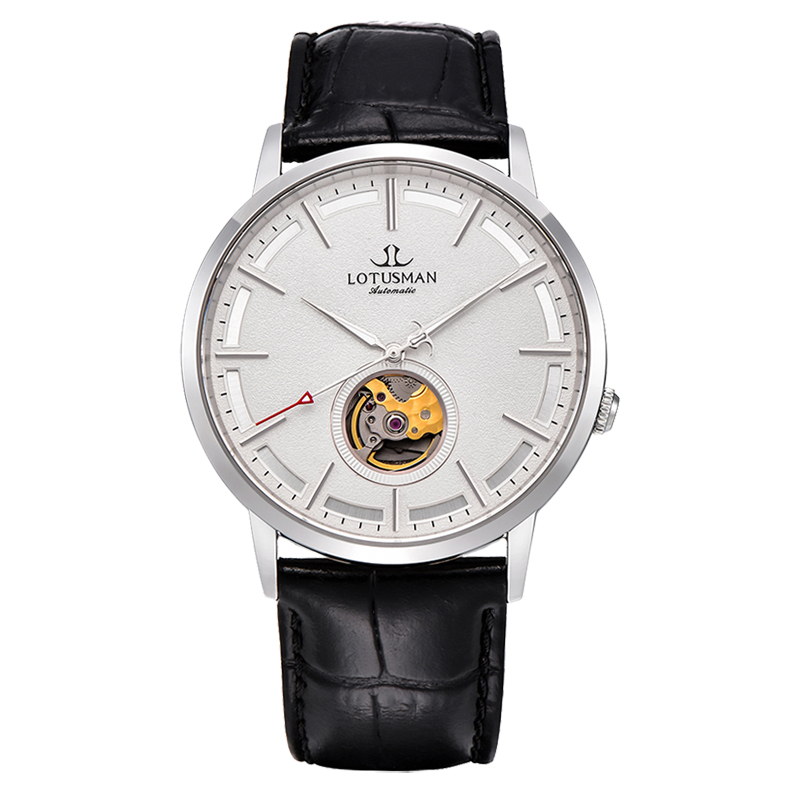 Reasonable Price Luxury Mechanical Mens Watches In Wristwatches Oem Private Customized Mechanical Watches For Men 